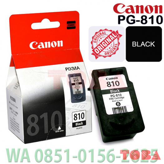 CARTRIDGE PRINTER CANON PG-810 BOX - CRI-CNN-PG810B