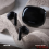 EARBUDS REXUS TWS FX99 BT 5.4 DEEP BASS AI VOICE ASSISTANT SUPPORT - EBU-RXS-FX9954